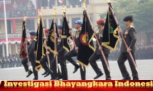 IMG_20241015_183321