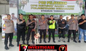 IMG_20250329_201019.jpg