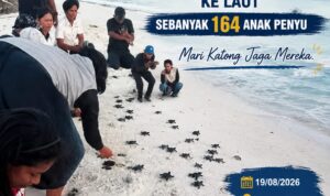 IMG-20260821-WA0043
