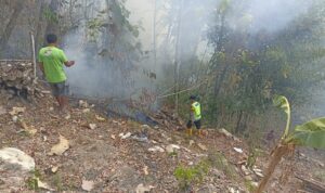 IMG-20260905-WA0009
